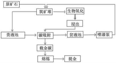 低品位金礦生物堆淋提金方法與流程