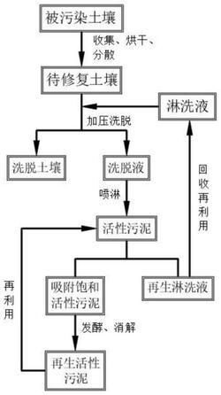 利用活性污泥修復(fù)多環(huán)芳烴污染土壤的方法