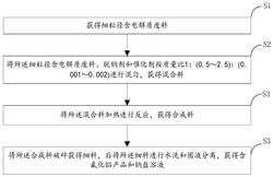 含電解質(zhì)廢料的處理方法