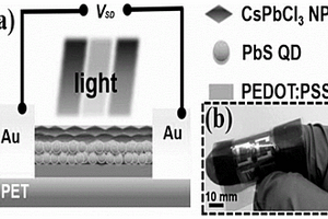 垂直堆垛PEDOT:PSS/PbS/CsPbCl<Sub>3</Sub>納米結構柔性光探測器的制備方法