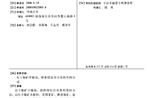 紅土鎳礦中鎳鈷、鐵和鎂綜合開發(fā)利用的方法