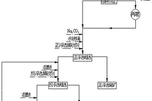 低品級硅鈣質(zhì)膠磷礦的細(xì)篩再磨混合浮選方法