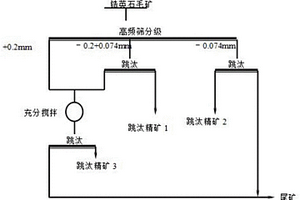 分級跳汰機分選鋯英石選礦方法