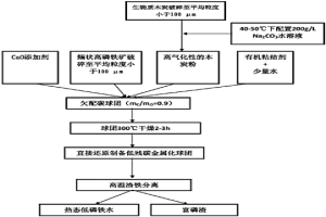 利用生物質木炭實現(xiàn)鮞狀高磷鐵礦脫磷的方法