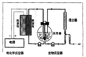 硫化礦浸礦菌生長(zhǎng)的高效電化學(xué)培養(yǎng)方法及裝置