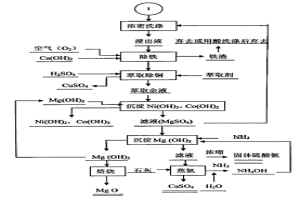 從高鎂鎳精礦中綜合回收鎳、銅、鈷、硫和鎂的工藝