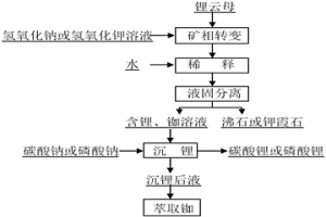 從鋰云母礦中提取鋰、銣并副產(chǎn)沸石或鉀霞石的方法