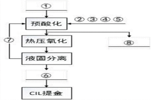 高碳難處理金礦的處理工藝