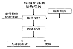 用細菌浸出鋅精礦沸騰焙燒煙灰中鋅的方法