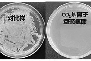 二氧化碳基離子型抗菌聚氨酯及其制備方法和應用