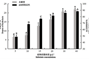 酶解桑葉蛋白制備ACE抑制肽的方法