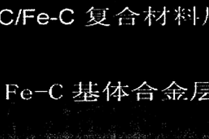 大斷面WCp/Fe-C復合材料-球鐵復合結(jié)構(gòu)輥環(huán)