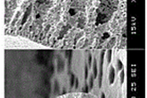 用于高溫CO<Sub>2</Sub>氣體分離的SDC/LNO-碳酸鹽膜、膜反應(yīng)器及其應(yīng)用