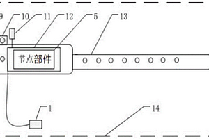 家禽體溫?zé)o線監(jiān)測(cè)裝置