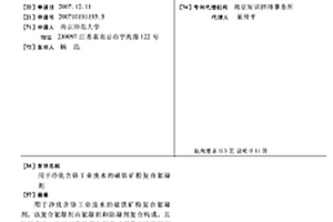 用于凈化含鉻工業(yè)廢水的磁鐵礦粉復合絮凝劑