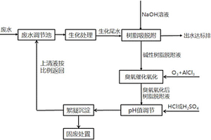 催化臭氧氧化技術(shù)處理高濃度堿性樹(shù)脂脫附液的方法