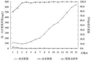 連續(xù)式的高濃度耐鹽硝化細(xì)菌規(guī)?；囵B(yǎng)方法