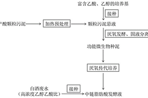 中鏈脂肪酸碳鏈延長(zhǎng)功能微生物及其富集方法和應(yīng)用