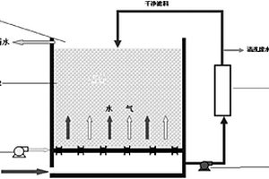 曝氣生物濾池