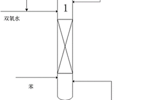 催化蒸餾生產(chǎn)苯酚和/或苯二酚的方法