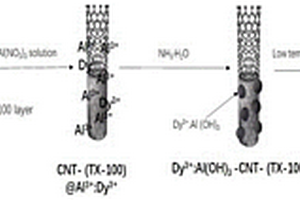 表面包裹γ-Al2O3：Dy3+顆粒的碳納米管吸附劑及其制備方法