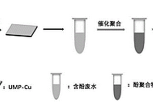 基于具有漆酶活性的納米酶UMP-Cu的酚類污水治理方法