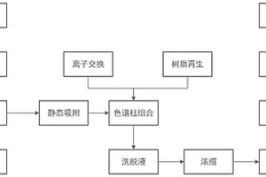 從甜菜廢蜜中回收甜菜堿的工藝