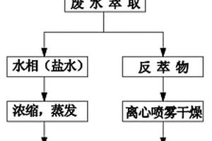 兼具H酸母液和T酸母液的處理工藝