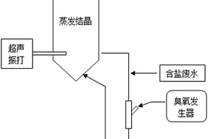 高鹽有機(jī)廢水蒸發(fā)結(jié)晶同步去除有機(jī)物的純化制鹽系統(tǒng)及方法