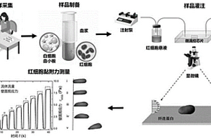 基于微流控芯片測(cè)定2型糖尿病狀態(tài)紅細(xì)胞黏附力的方法