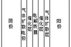 用于質子交換膜電解池特性分析的二維穩(wěn)態(tài)模型建立方法