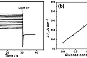 基于Fe<Sub>2</Sub>O<Sub>3</Sub>電極的無(wú)酶葡萄糖光電化學(xué)傳感器及其制備方法與檢測(cè)方法