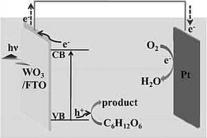 無(wú)酶葡萄糖光電化學(xué)傳感器、無(wú)酶葡萄糖濃度的檢測(cè)方法