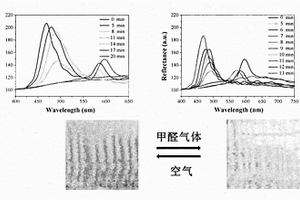 氨基功能化的光子晶體薄膜傳感器可視化檢測(cè)易揮發(fā)醛
