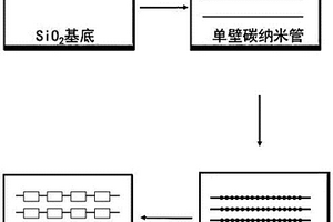 能利用其自生長條件電信號轉(zhuǎn)換檢測生物分子的單壁碳納米管的制備方法