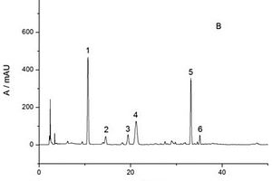 復(fù)方紅衣補(bǔ)血口服液中6種多酚類化合物的含量測(cè)定方法
