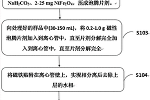 磁性泡騰片、磁性泡騰片輔助分散固相微萃取方法、重金屬檢測方法及應(yīng)用