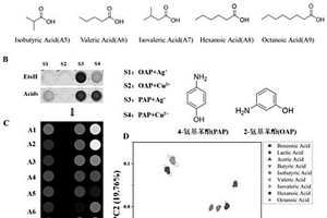 基于氨基苯酚-Ag+/Cu2+的有機酸小分子、白酒鑒別方法及可視化傳感陣列