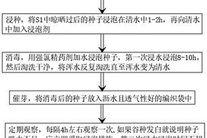 水稻種子催芽方法