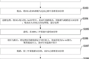 包含多個復(fù)合體的新型COCs復(fù)合結(jié)構(gòu)組織的制備方法