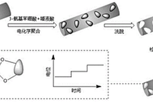 基于分子印跡聚合物修飾碳布電極的電位型唾液酸傳感器