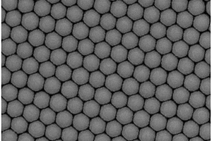 Ag/Cu<sub>2</sub>S復(fù)合SERS基底及其制備方法