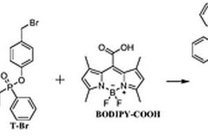 特異性識別超氧陰離子的BODIPY類熒光探針及其制備方法和應(yīng)用