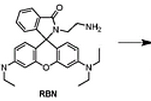 特異性識別還原型GSH的羅丹明類熒光探針及其制備方法與應(yīng)用