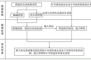 基于高光譜成像系統(tǒng)的茶樹干旱誘導(dǎo)成分及干旱程度評估的預(yù)測方法和系統(tǒng)