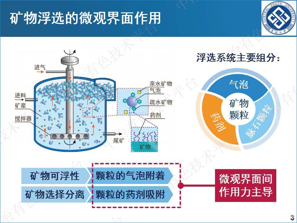 硫化礦浮選的微觀(guān)界面作用