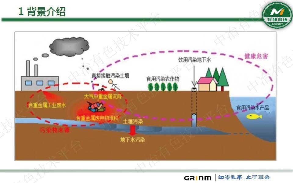 微生物法重金屬固化穩(wěn)定化及生態(tài)修復技術(shù)