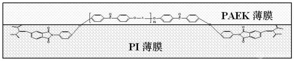 耐高溫聚酰亞胺/聚芳醚酮復(fù)合膜及其界面強(qiáng)化方法