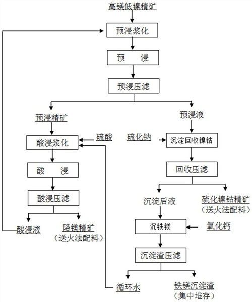 高鎂低鎳精礦酸浸降鎂方法