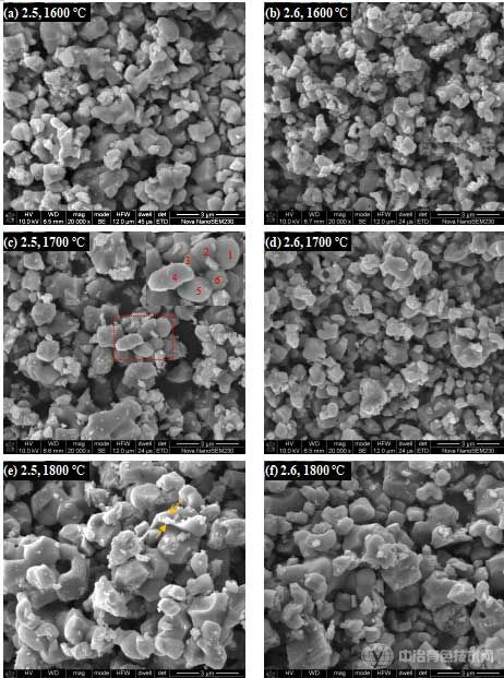  Ti(C1–x,Nx)粉末的SEM照片